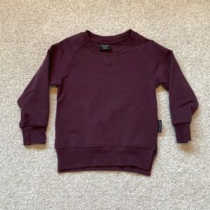 Little Bipsy plum colored sweatshirt in 18-24 months